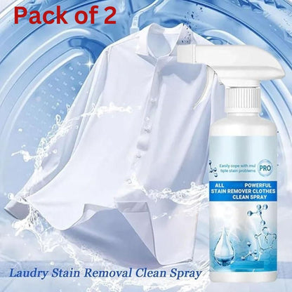 Clean Spray Stain Remover (Pack of 2)